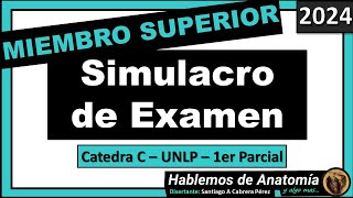 🔴👉SIMULACRO DE EXAMEN  MIEMBRO SUPERIOR 🟪 ANATOMIA C  2024 [upl. by Cirad]