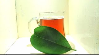 കറുവപ്പട്ടയുടെ ഇല വെച്ച് ഒരു അസ്സൽ ചായ  Bay leaf tea  First vedio Cafe con [upl. by Ssac172]