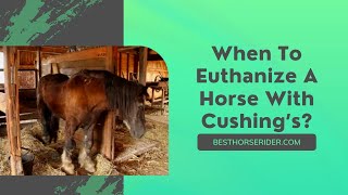 When To Euthanize A Horse With Cushing’s [upl. by Toft859]