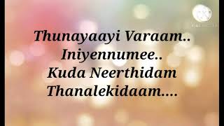 Thaniye song karaoke with lyrics  Malayalam song karaoke [upl. by Rahcir]