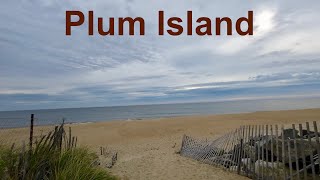 Plum Island on the Specialized Crux [upl. by Angelica]