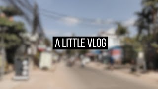 TRAVELING FOR 40 HOURS TO CAMBODIA  lil update [upl. by Heindrick313]