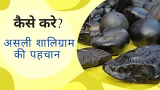 How to identify shaligram stone  Stay away from Fake Sellers [upl. by Mccutcheon254]