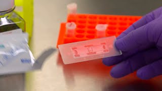 How to use a Hemocytometer for Tissue Culture Cell Counting [upl. by Ahselrak]