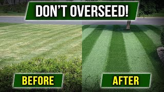 STOP OVERSEEDING Theres a Cheaper Way [upl. by Atiniv]