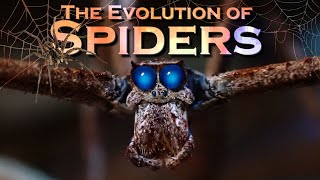 EVOLUTION of SPIDERS [upl. by John208]