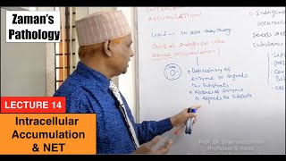 General Pathology Lecture 14  Intracellular Accumulation amp NET [upl. by Ara]