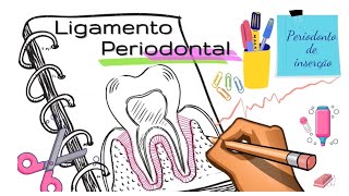 Ligamento Periodontal [upl. by Ahseekal]