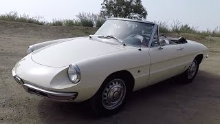 Petrolicious 1967 Alfa Romeo Duetto  One Take [upl. by Margreta]