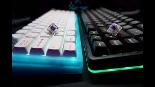 NK65 VS Drop Alt Sound Test 62g Zealio Tactile Switches [upl. by Ahab]