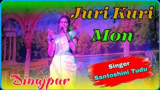 Juri Kuri Mon Dinajpur Song  Santali Dinajpur Video 2024  Orchestra Santali Song [upl. by Elamrej]