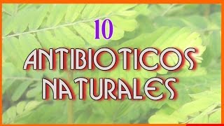 10 Increibles Antibióticos Naturales Que te Ayudaran a Enfrentar a Las Infecciones [upl. by Brahear]