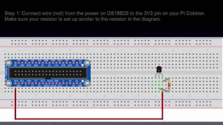 Automatically Discovering a 1Wire Device  DS18B20 Temperature Sensor [upl. by Hubble]