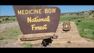 Cool Camp Medicine Bow National Forest [upl. by Niarda471]