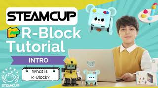 Introduction to R BLOCK  How to Use R BLOCK E1 [upl. by Yann902]