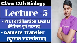 Gamete Transfer युग्मक स्थानांतरण   yugmak sthanantaran  pre fertilization events [upl. by Ellednek]