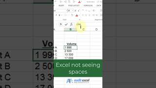 Excel not seeing obvious spaces [upl. by Esiahc]