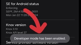 How to Enable Developer Mode [upl. by Leake]