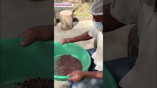 cacao fuentedevida saludableydelicioso saludable emprendimiento colombia bebidassaludables [upl. by Aimet224]