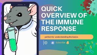 Quick overview of the immune response [upl. by Elnukeda]