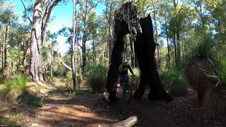 Jarrahdale Mountain Bike Trails [upl. by Oryaj]