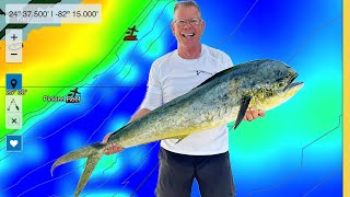 Catch Monster Mahi Mahi Solo Pro Tips and Satellite Technology Unveiled [upl. by Kosiur504]