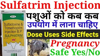 Sulphatrim Sulfadoxine Trimethoprim Injection Veterinary Pharmacy Dose Route Uses Veterinary Dr [upl. by Llenram813]