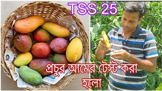 অচেনা বন্ধুদের দিয়ে আম টেস্ট করানো হলো  Arunima mango  King of Chakapat [upl. by Atibat]