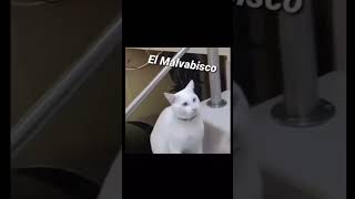 Camilo Malvabisco😈 viralshort humor memes shorts short viralvideo fyp feed [upl. by Annaoy]