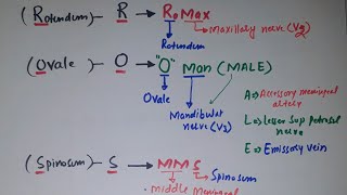 Mnemonic for Foramena Ovale  Structure passing throug it [upl. by Eduardo]