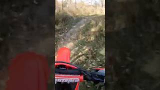 Honda CRF125F fall ride MTB Trails dirtbike motocross gopro hondacrf125f moto enduro crf [upl. by Orrin160]