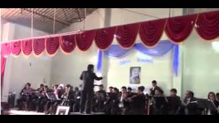 ORQUESTA SINFÓNICA Johann Strauss  El Danubio Azul [upl. by Kcirderfla]