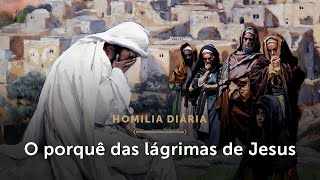 Homilia Diária  Até quando Jesus chorará sobre nós Quintafeira da 33ª Semana do Tempo Comum [upl. by Hartman]