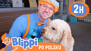 Opieka nad zwierzętami  Blippi po polsku 🔶 Nauka i zabawa dla dzieci [upl. by Korten]