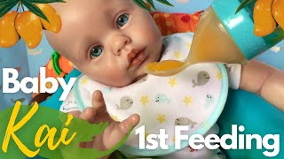 Reborn Boy Baby Kai First Feeding amp Changing Reborn Doll Eating Real Mango Baby Food [upl. by Annoved]