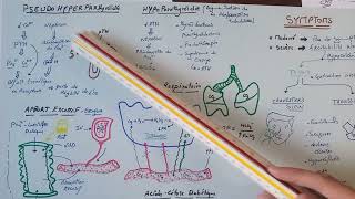 TOUS SAVOIRE SUR LHYPER PHOSPHOREMIE4 pseudohyperparathyroïdie 2eme etiologie [upl. by Jeminah105]