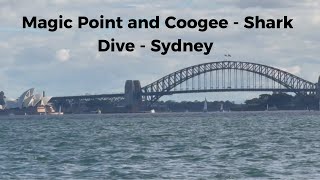 Magic Point and Coogee  Shark Dive June 2024  Sydney  Australia [upl. by Fahy]