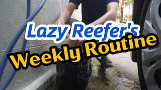 A Lazy Reefers Weekly Routine [upl. by Eisler]