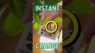 Easy Card Color Change – Learn This Snap Trick [upl. by Alcina]