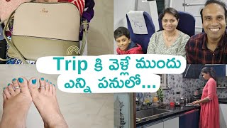 Travel tips Productive day Telugu Homemaker daily planning tips Kitchen tips Cooking tips DIML [upl. by Orin]