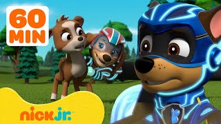 PAW Patrol Mighty Pups Ultimate Animal Rescues w Chase amp Liberty  1 Hour Compilation  Nick Jr [upl. by Redienhcs]