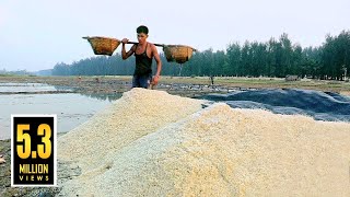 লবণ ক্ষেতের quotলবণquot  How to Make Salt in Bangladesh [upl. by Ymar189]