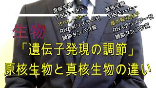 高校生物「遺伝子の発現調節」〜原核生物と真核生物の違い〜 [upl. by Roe]