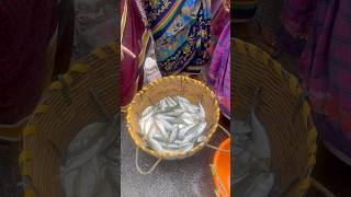 KASIMEDU FISH MARKET YELAM 1200 [upl. by Essirahs]