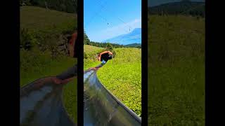 Tobogganing ride Switzerland switzerland mountains pilatus [upl. by Eetsud850]