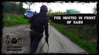 Fox hunted in front of saboteurs [upl. by Schwarz]