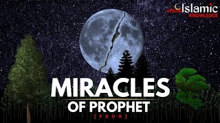 Miracles of Prophet Muhammad ﷺ  Truthfulness amp Prophecy  Islamic Knowledge Official [upl. by Danell70]