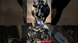 Animal  motorcycle❗cow bull bison buffalo [upl. by Sheelah]