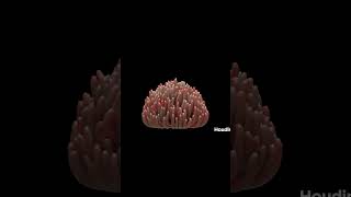 Create A Sea Anemone in Houdini shorts [upl. by Ramsey]