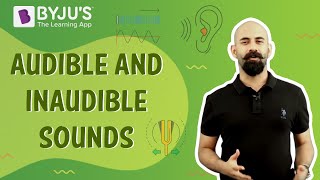 Audible and Inaudible Sounds  Characteristics of Infrasound Ultrasound and Audible Sound [upl. by Llerrem]